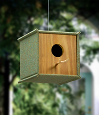 Oak Burel Birdhouse