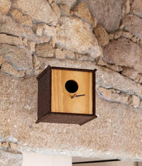 Burel Birdhouse Walnut