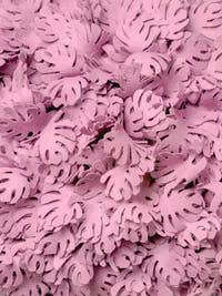 Painel Monstera