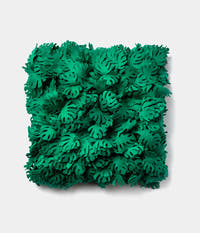 Monstera Cushion