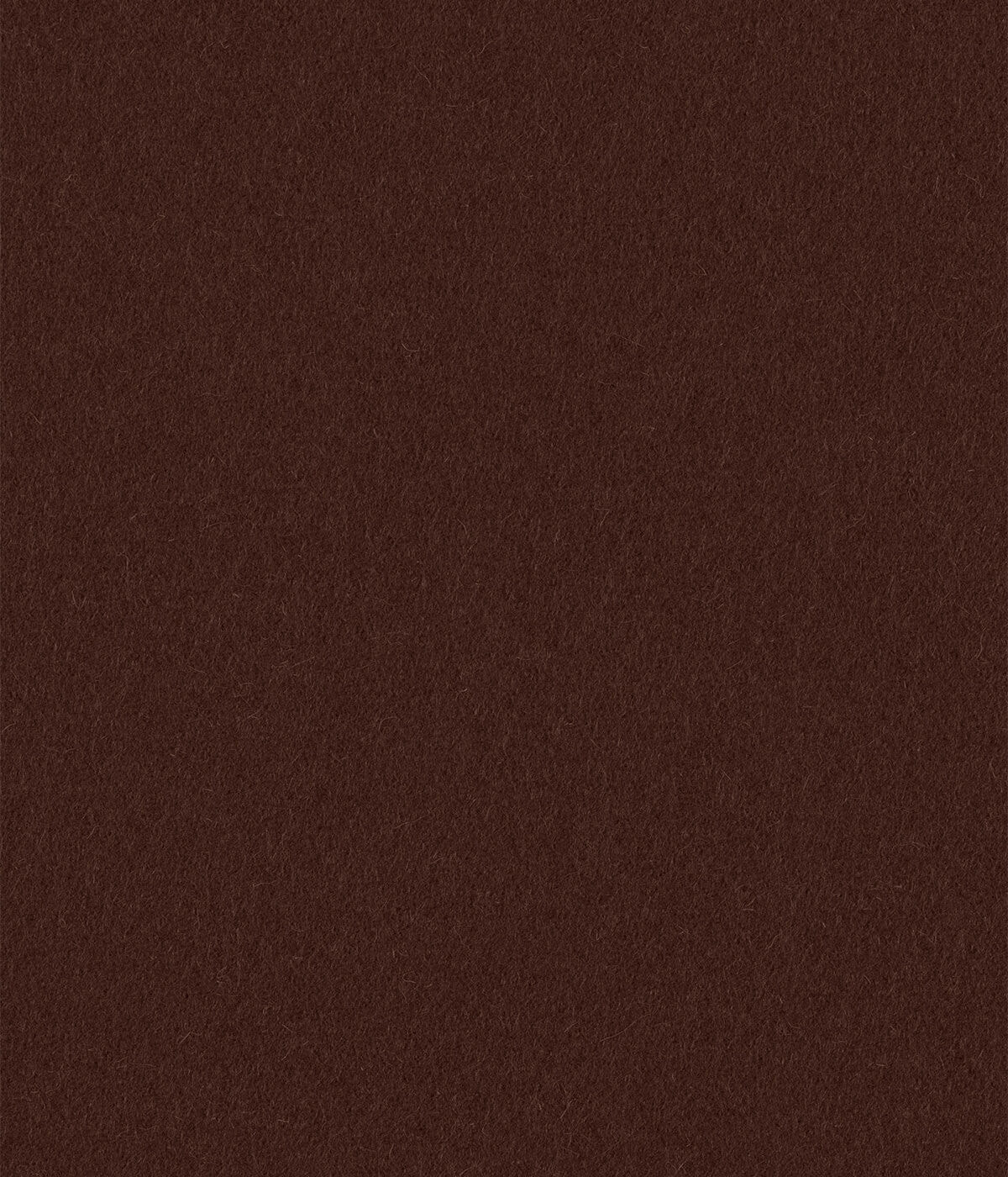 Cocoa