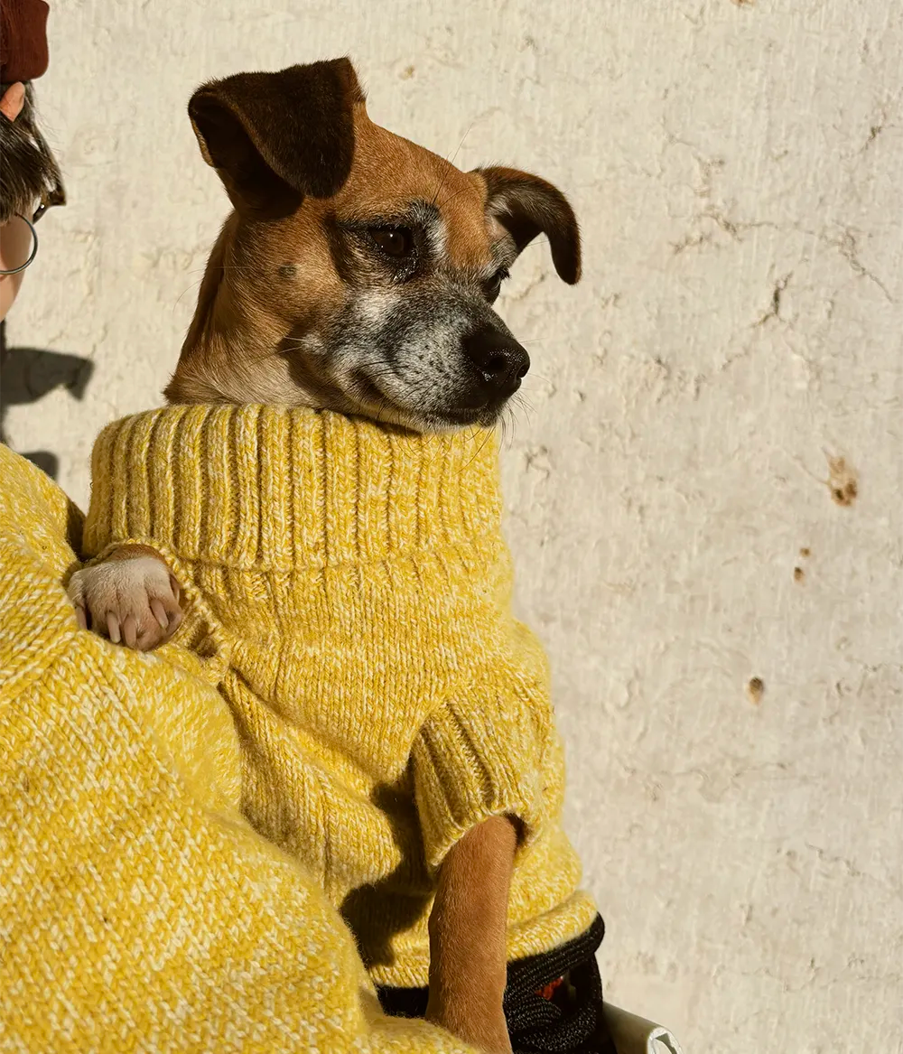 Pet Rib Jumper 