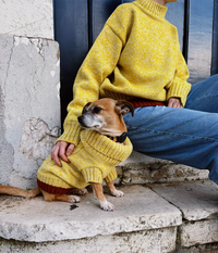 Pet Rib Jumper 