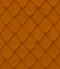 Painel Soletus