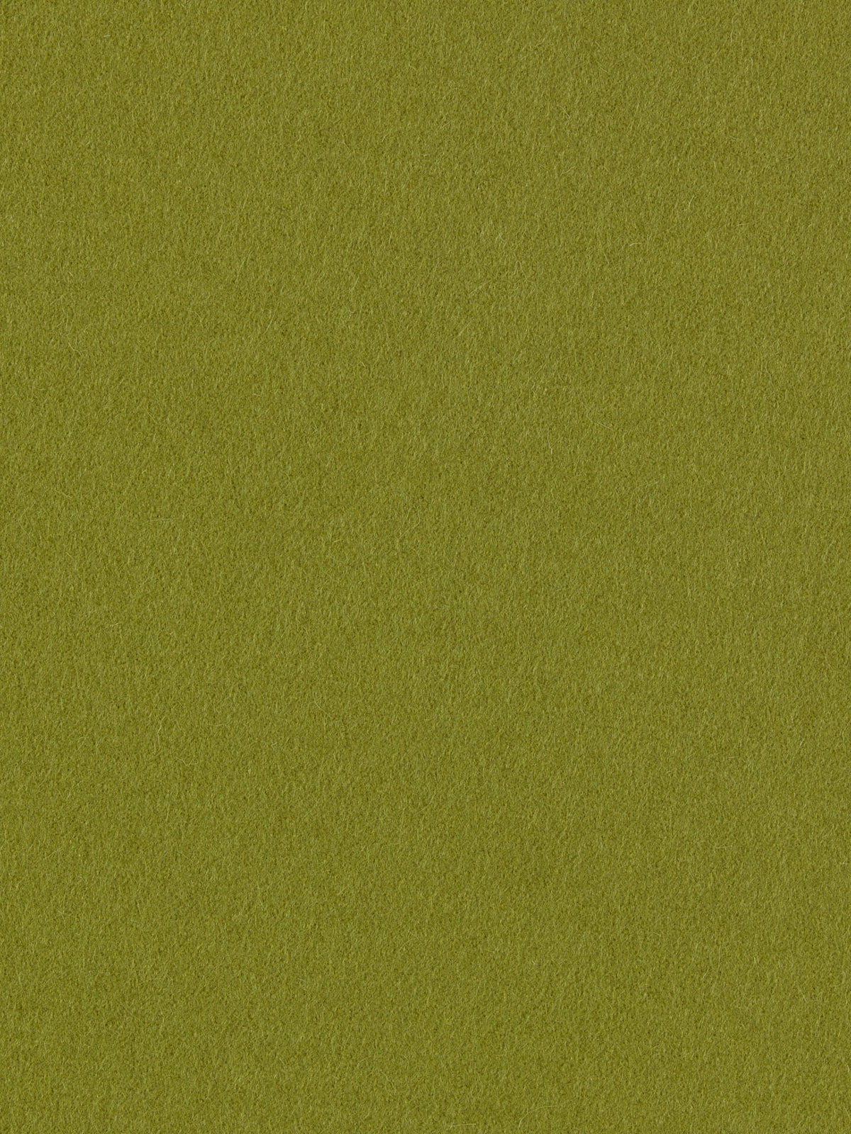 burel-wool-fabric-light-khaki-made-in-portugal