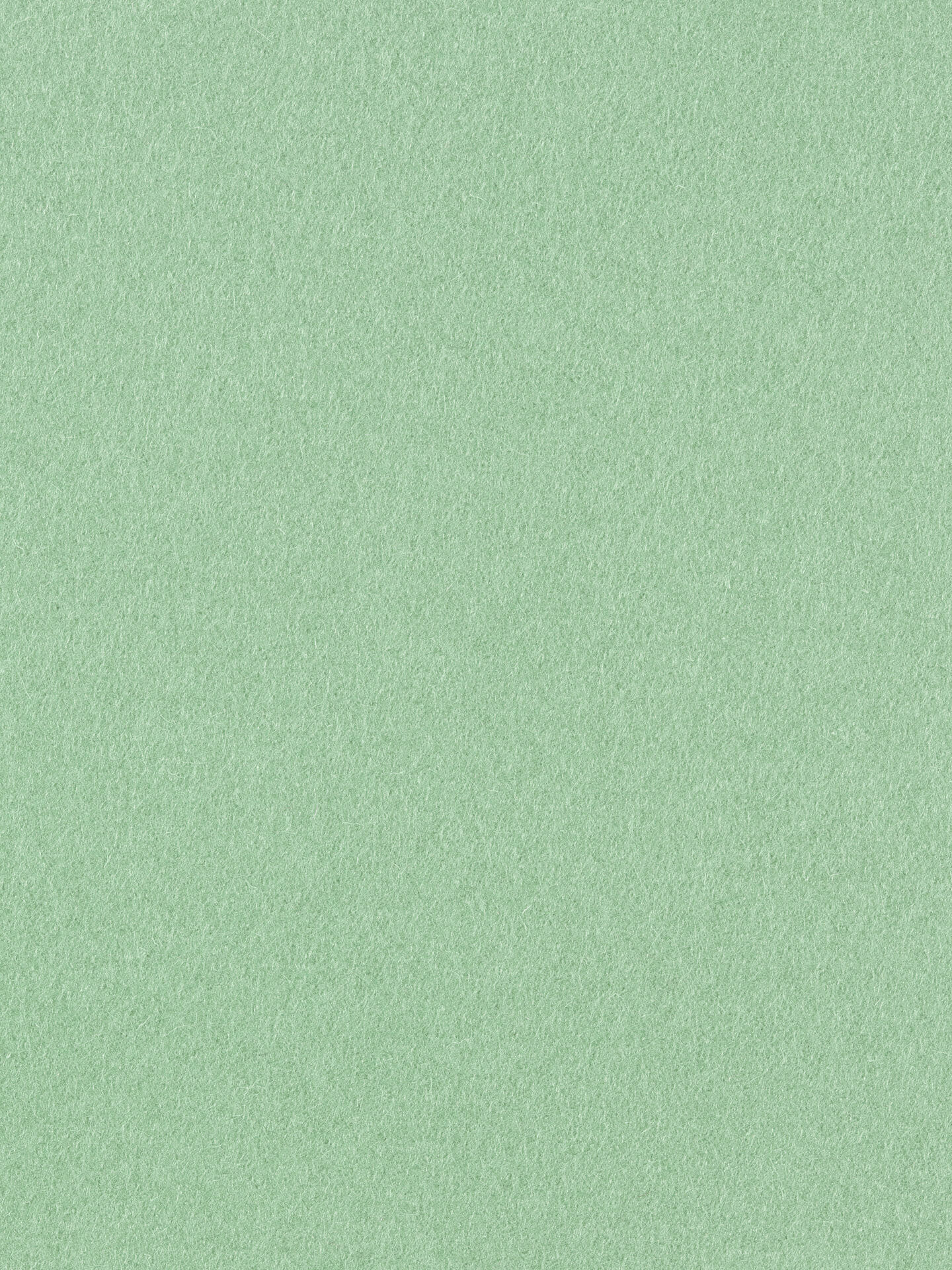 Menta