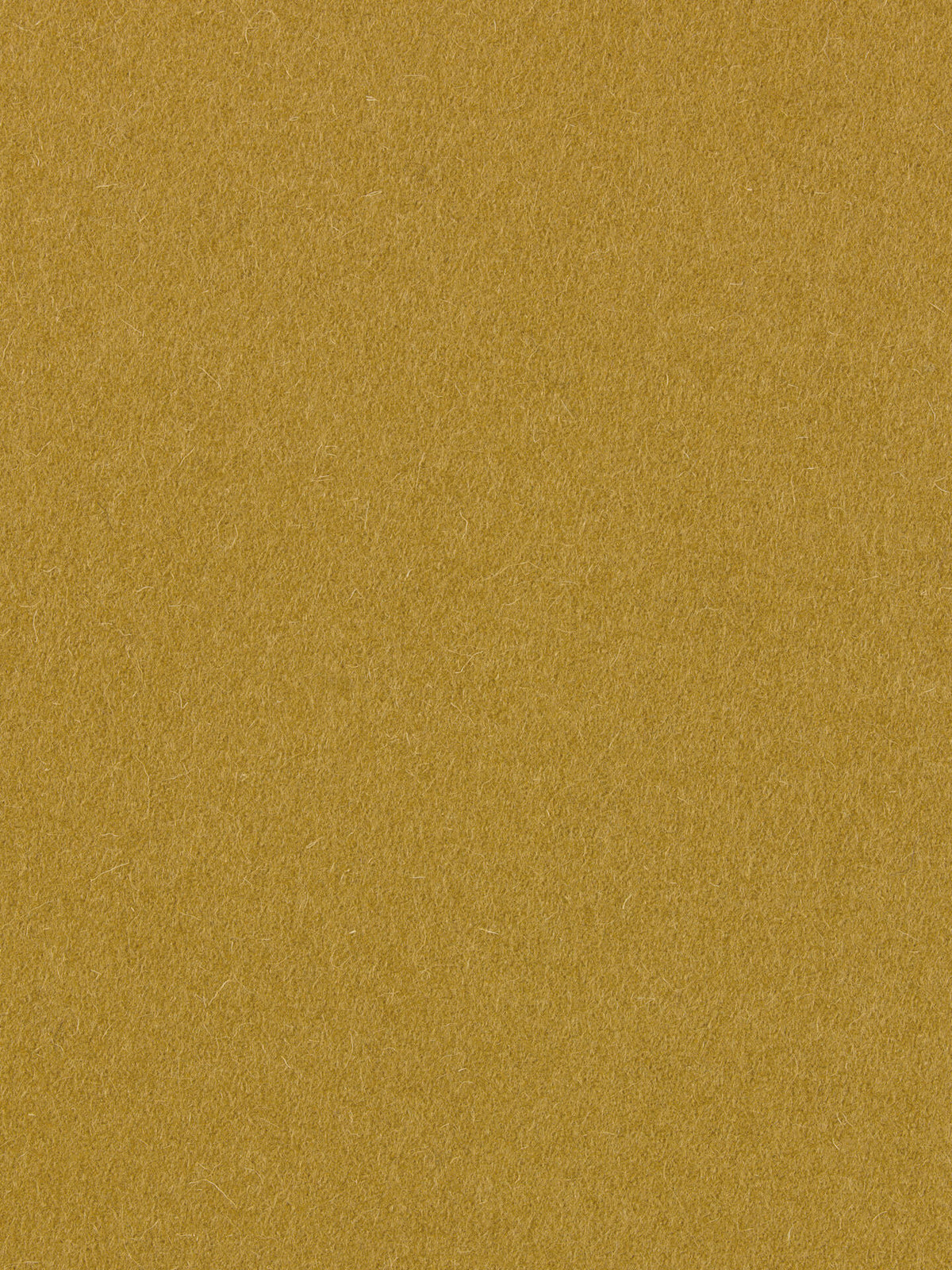 burel-wool-fabric-mustard-yellow-made-in-portugal