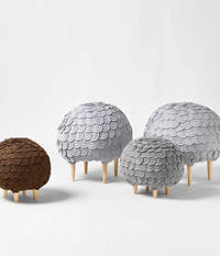 sheep-stool