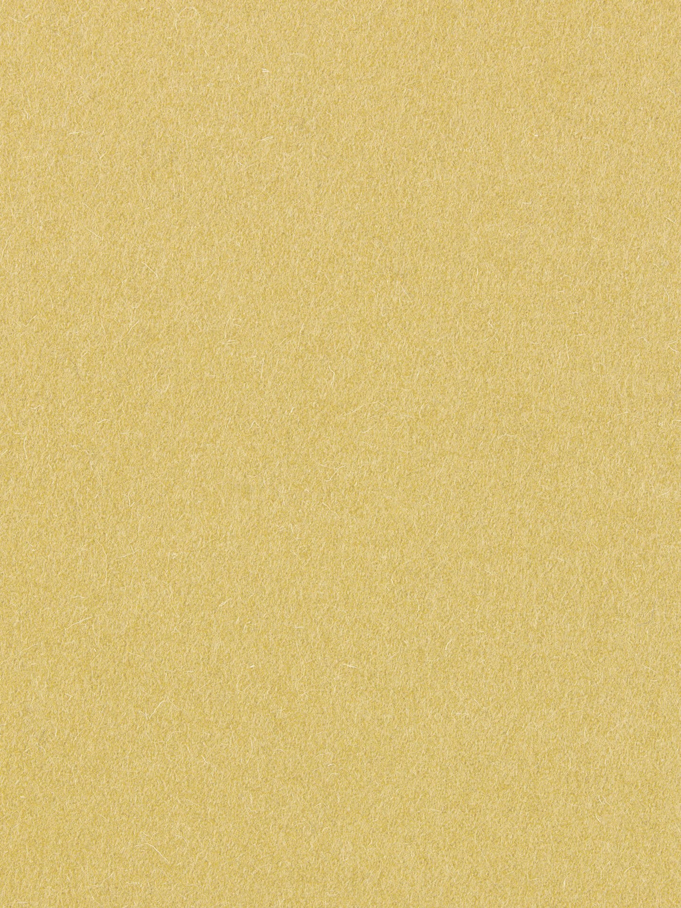 burel-wool-fabric-wheat-yellow-made-in-portugal