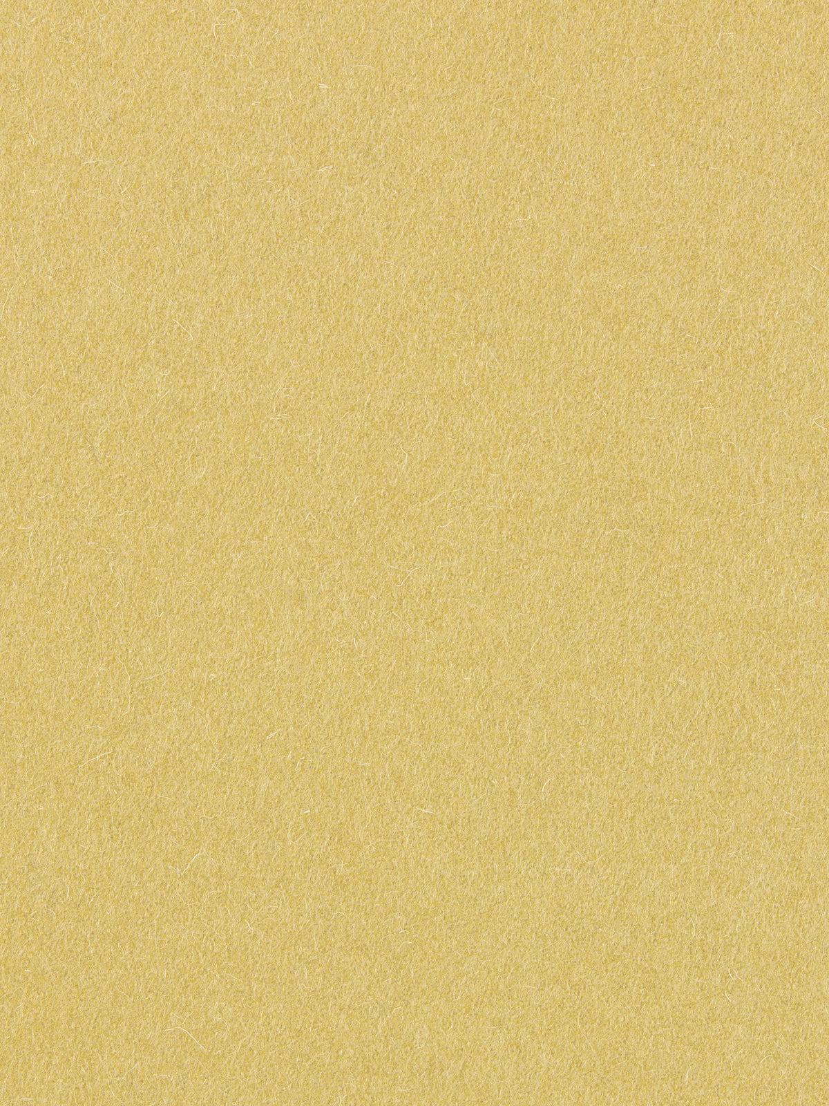 burel-wool-fabric-wheat-yellow-made-in-portugal