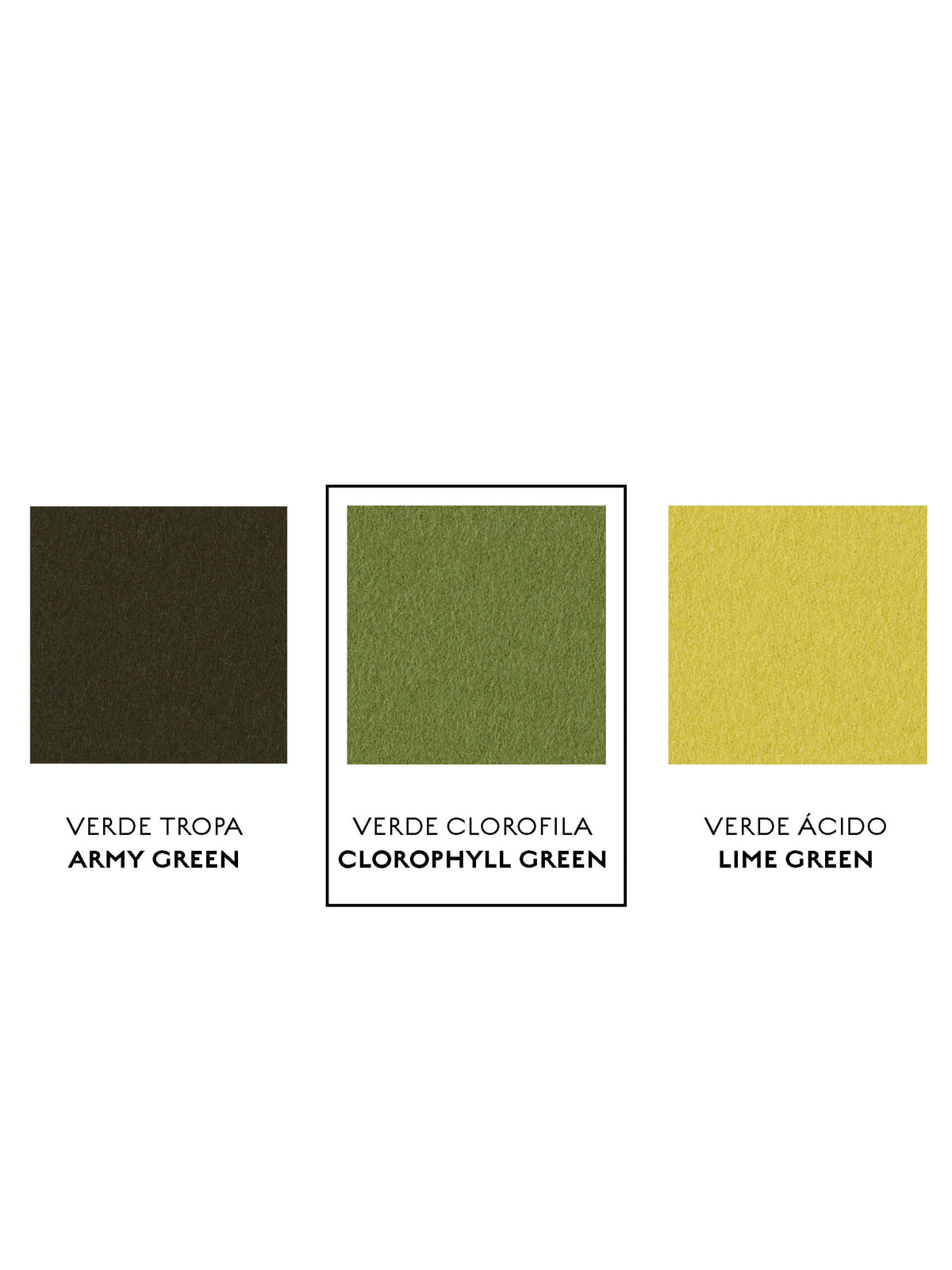 burel-clorophyll-green