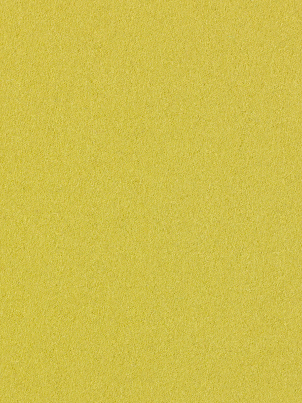 burel-wool-fabric-lime-green-made-in-portugal