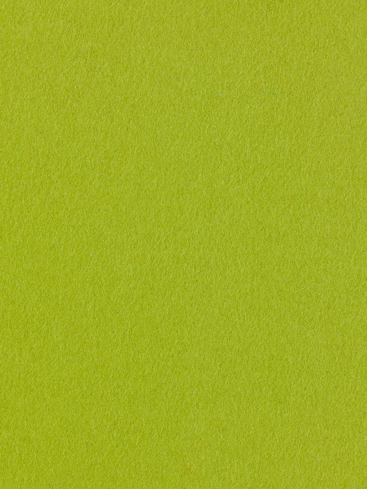 burel-wool-fabric-light-green-made-in-portugal
